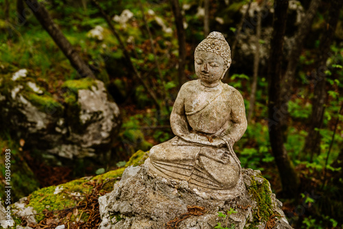 stone statue of buddha in the forest 