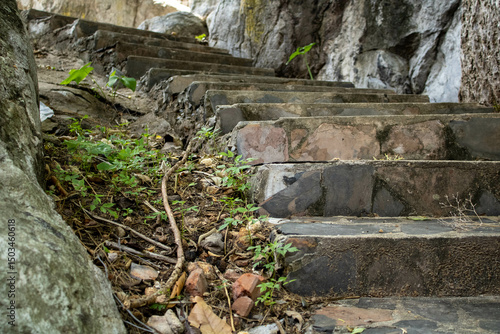 old stone wall with moss