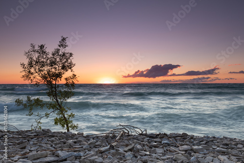 Sunset Tree Lake Huron