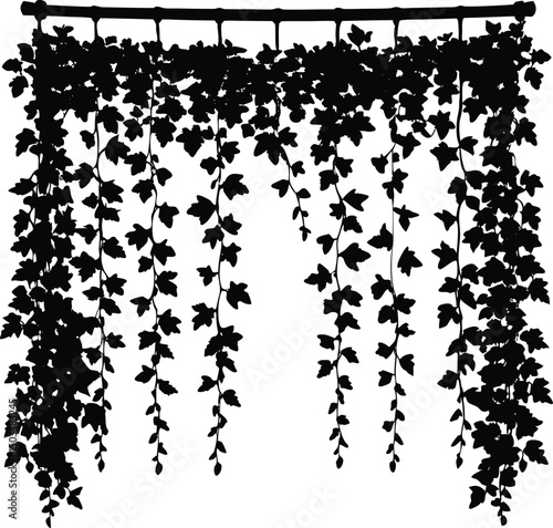 Hanging Ivy Curtain Silhouette