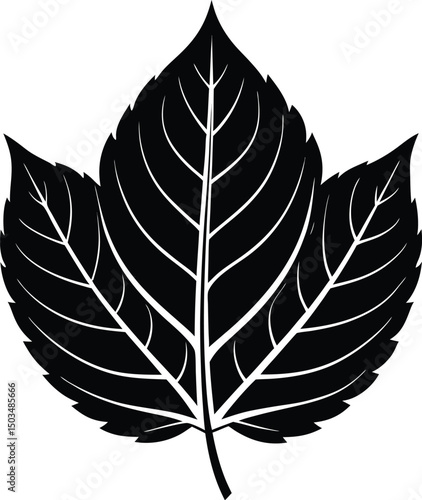 Leaf Silhouette With Veins Slightly Visible Vector