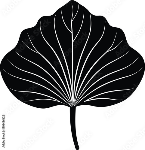 Lotus Leaf Silhouette Large And Smooth