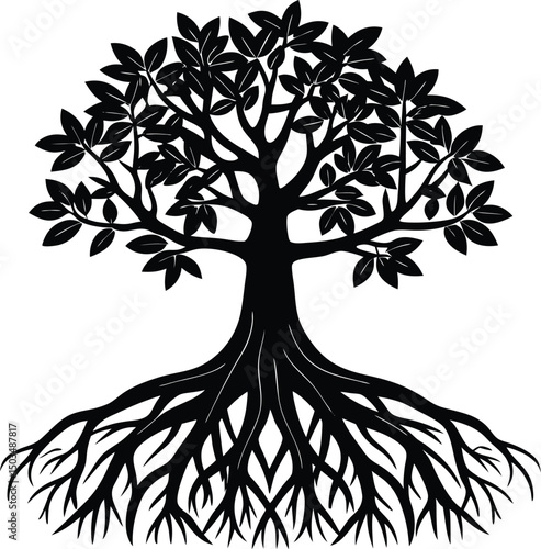 Mangrove Tree Silhouette With Exposed Roots