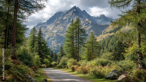 Alpine Road Majestic Mountain Peaks  Forest Path.