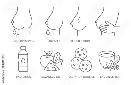 Line style icons of breastfeeding: milk oversupply, low milk icon, blocked duct symbol, breast massage, hydration icon, balanced diet icon, lactation cookies, fenugreek tea.
