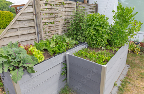 Kräuter, Salate und Gemüse im Hochbeet