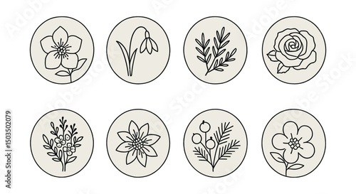 Line style icons of seasonal flowers: winter hellebore circle, snowdrop icon in ring, evergreen floral sprig, white rose in circle, muted bouquet in round, frosty bloom accent, seasonal berries and