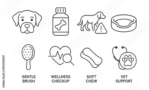 Line style icons of senior pets: grey muzzle icon, joint care bottle, slow walk symbol, senior dog bed, gentle brush, wellness checkup, soft chew treat, vet support.