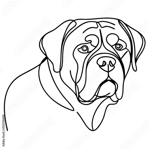 Bullmastiff portrait, line art, black and white, for pet lovers