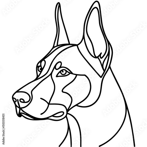 Doberman Pinscher portrait, line art illustration