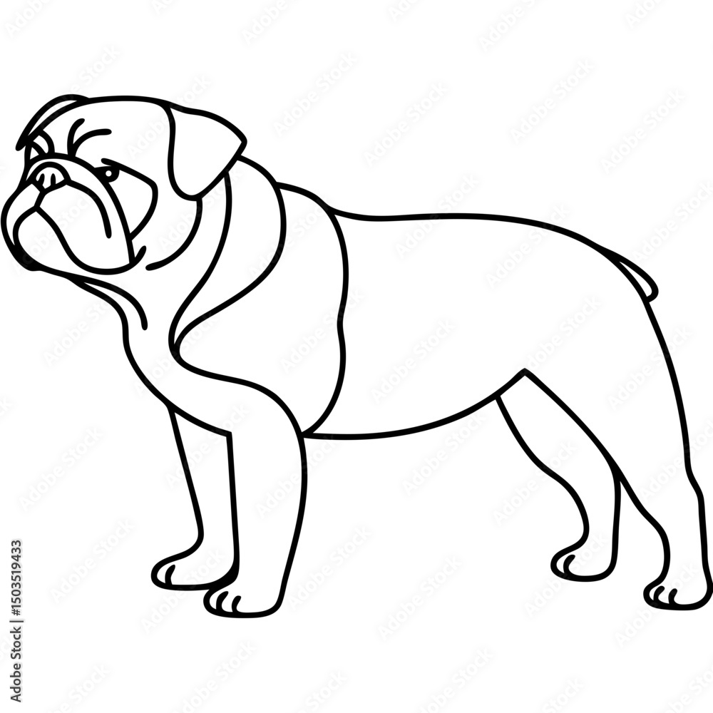 Obraz premium English Bulldog Canis familiaris illustration. Strong English Bulldog breed dog standing profile. This powerful dog breed image is perfect for pet lovers and dog breeders.