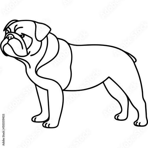 English Bulldog Canis familiaris illustration. Strong English Bulldog breed dog standing profile. This powerful dog breed image is perfect for pet lovers and dog breeders.