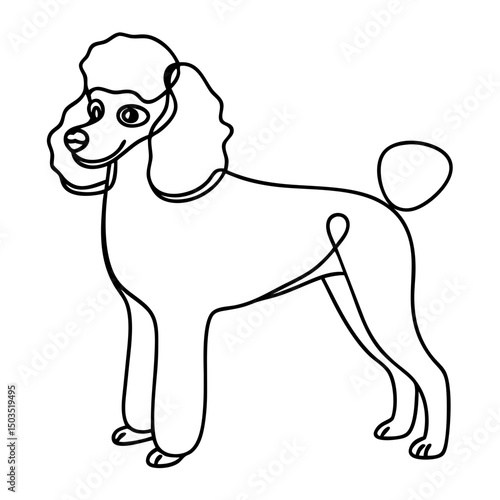 Standard poodle dog breed canine pet. Poodle dog illustration perfect for pet adoption posters. Cute poodle drawing for pet lovers and dog owners.