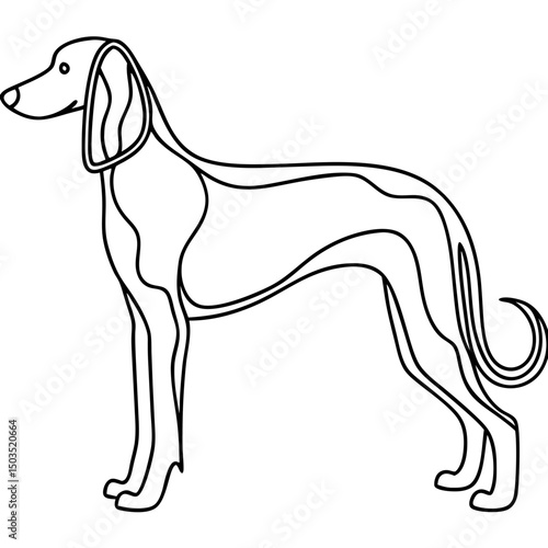 Elegant Saluki dog portrait. Slender Saluki, graceful canine breed, depicted in line art style. This Saluki illustration is perfect for dog breed guides, pet adoption websites, or veterinary clinics.