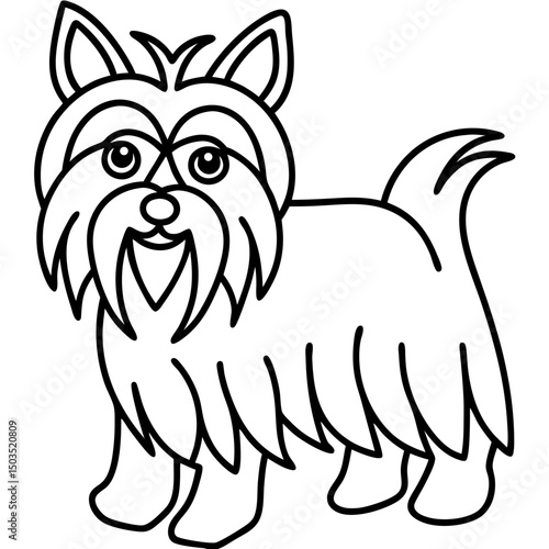Yorkshire terrier illustration, line art style, black and white, for pet websites