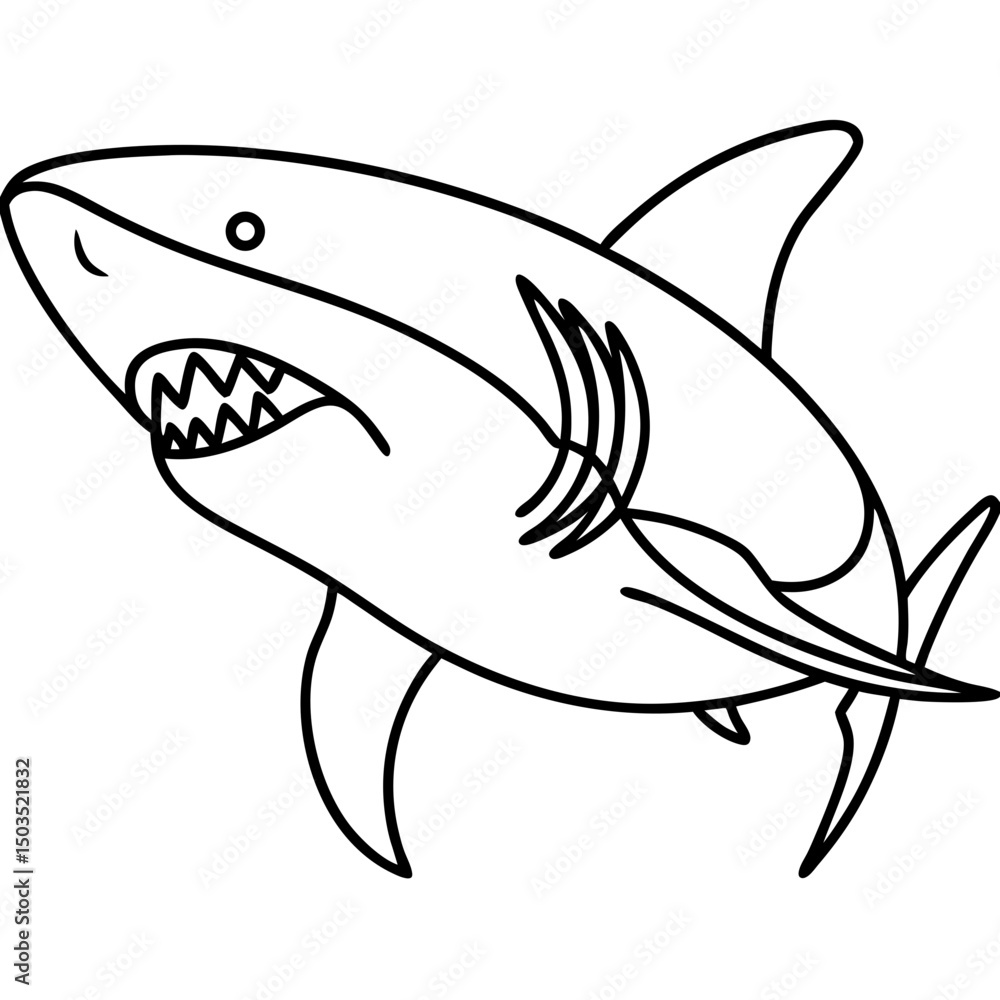 Fototapeta premium Great white shark line drawing, for educational materials