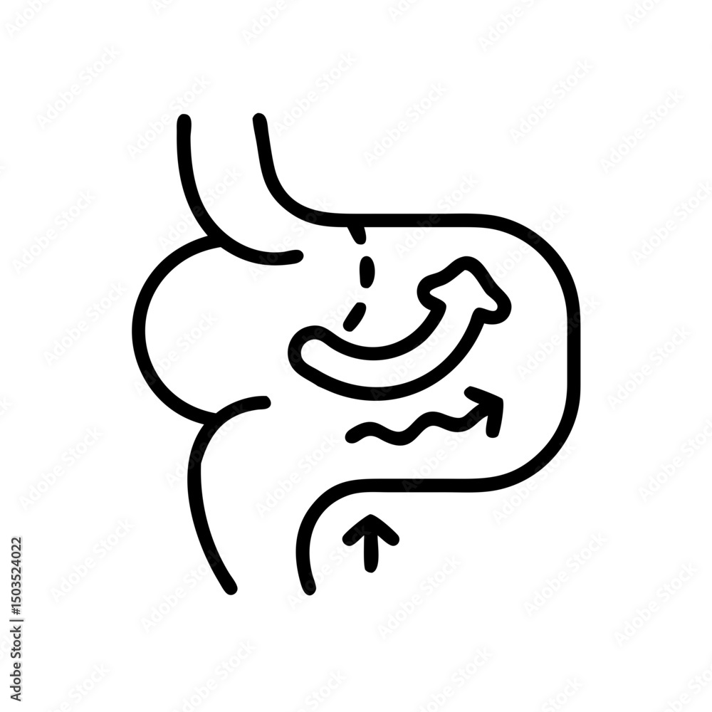 Digestive system with arrows symbolizing digestive aids Digestive system with arrows symbolizing digestive aids