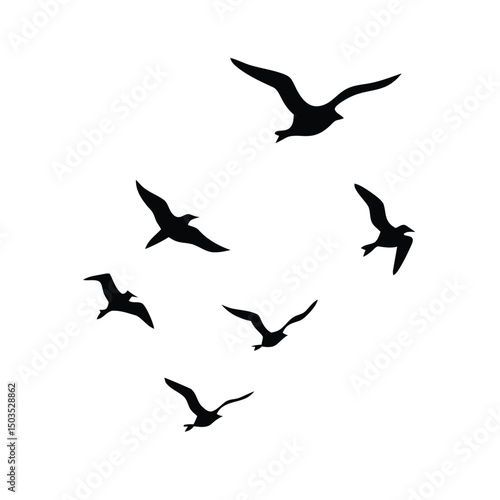 A flock of seagulls flies across a white background.