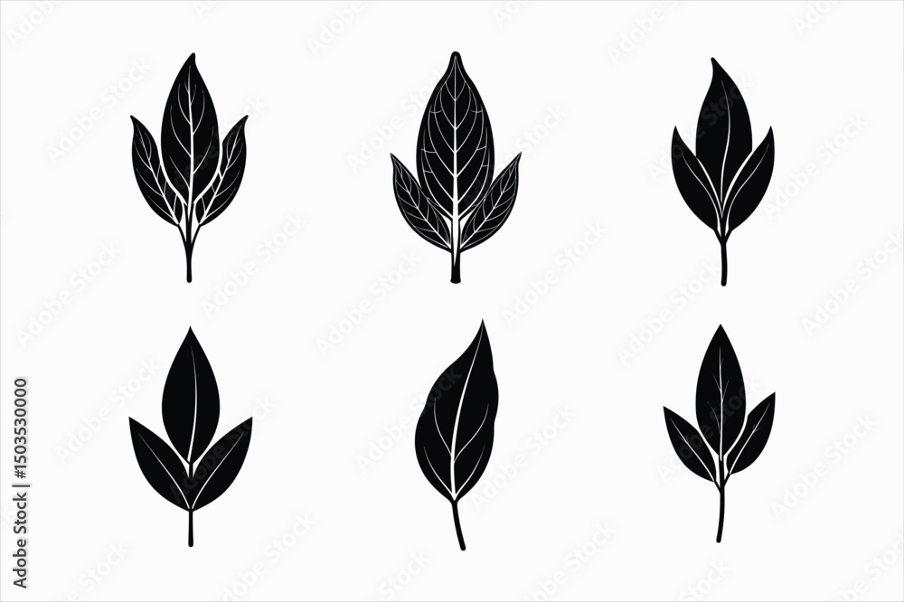Fototapeta premium set of sage leaf silhouette vector illustration