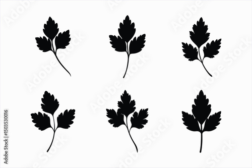 set of coriander leaf silhouette vector illustration