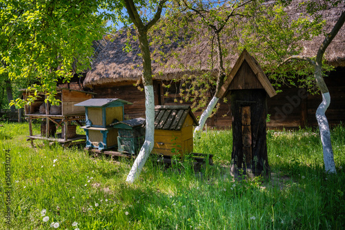 Wielkopolska Ethnographic Park in Dziekanowice. Museum of Wielkopolska Folk Culture, Uli Collection.
