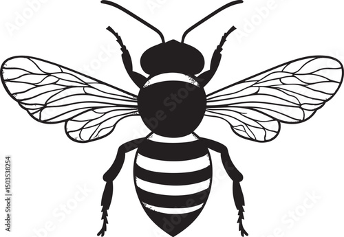 vector illustration of a wasp