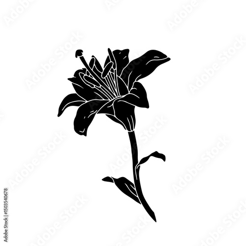 Hand drawn black silhouette of lily bloom with stem and leaf linocut. Monochrome birth month May flower. Botanical vector illustration isolated on white.