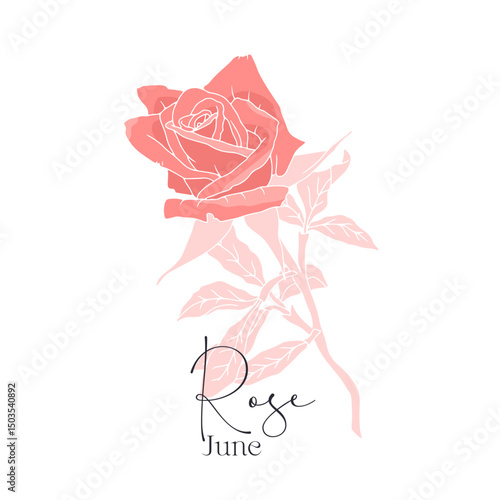 Hand drawn line art retro palette flower with text june rose. Vintage romantic floral vector illustration isolated on white background