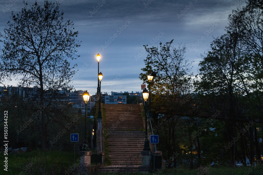 Fototapeta premium Seine embankment at the evening and night. Spring in Paris. Blossom and architecture. Insects and flowers. High resolution photo. 