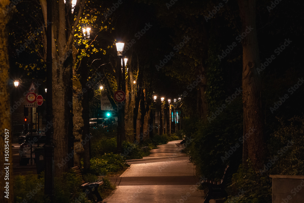 Fototapeta premium Seine embankment at the evening and night. Spring in Paris. Blossom and architecture. Insects and flowers. High resolution photo. 