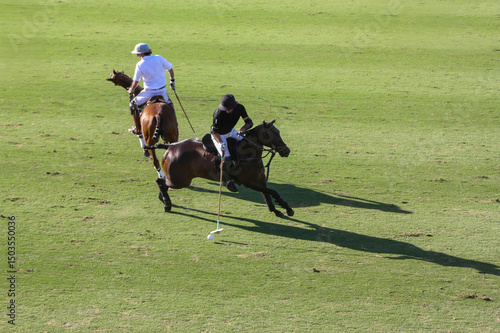 Polo Players in action