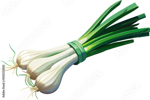 green onion, A bundle of spring onions on a white background