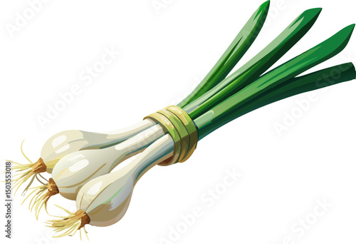 green onion, A bundle of spring onions on a white background