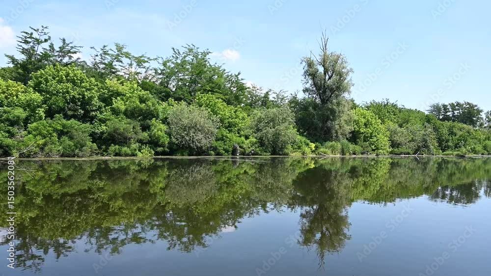 Boat trip through wild nature. Lot of birds on the water. Boating on the water and through the forest. Birds in nature. Boat trip through wild nature. Lot of birds on the water. Boating on the water and through the forest. Birds in nature.