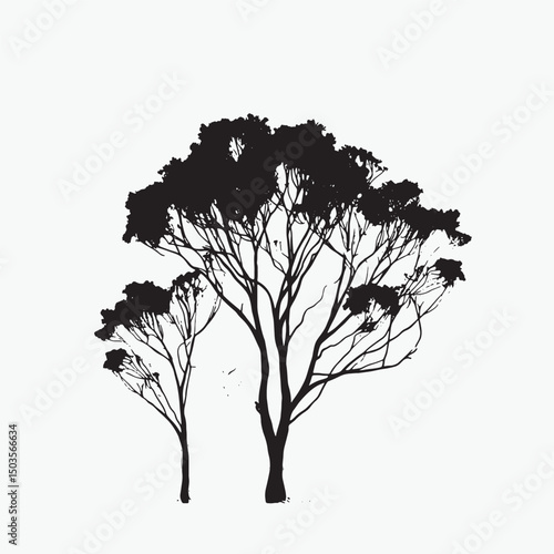 Australian Eucalyptus Tree Silhouette