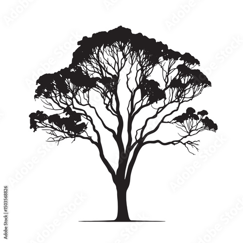 Hand-Drawn Eucalyptus Tree Silhouette