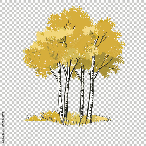 High-Quality Aspen Tree Vector Illustration for Nature-Inspired Designs