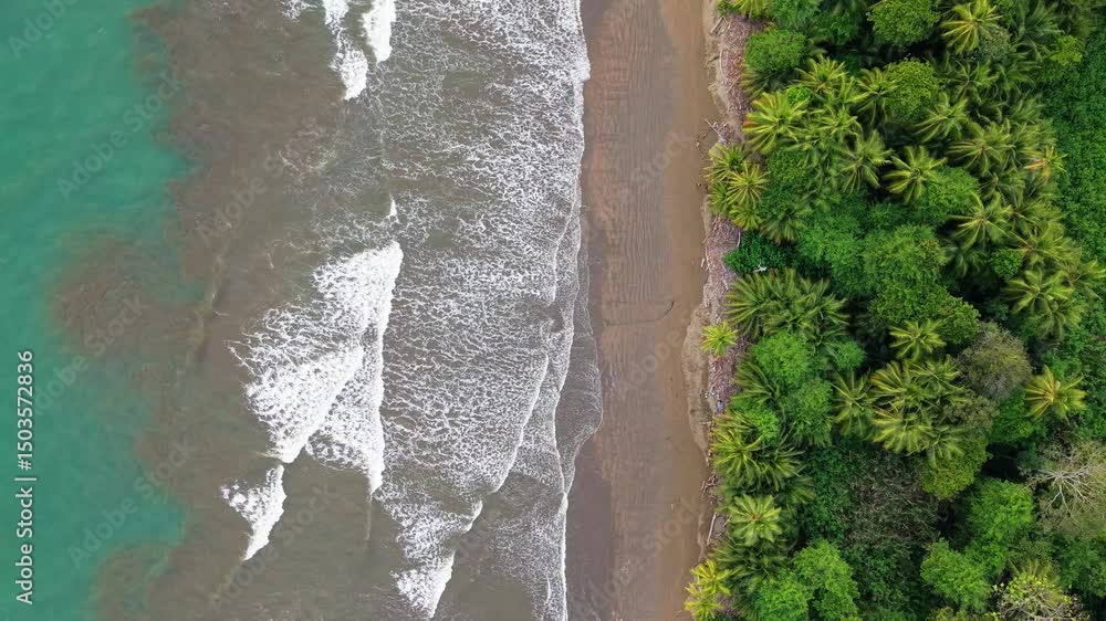 Toma aérea cenital de playa tropical con oleaje y palmeras – Costa Rica