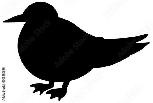 Arctic Tern Bird Silhouette Shadow Drawing