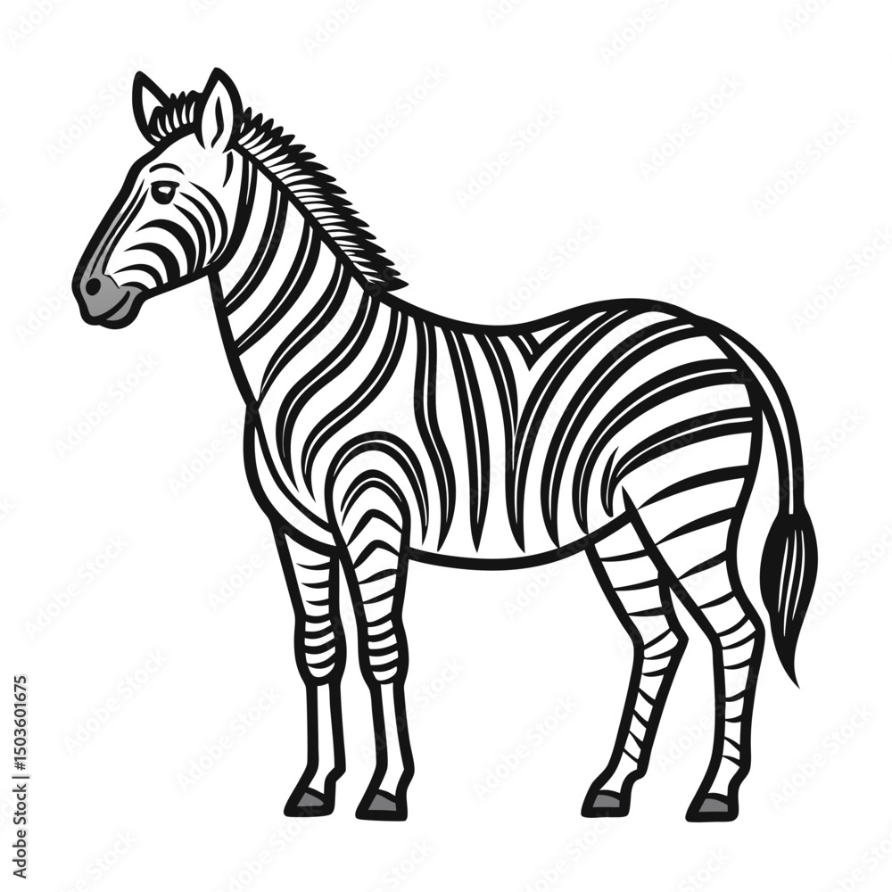 Obraz premium Zebra Line Art Vector