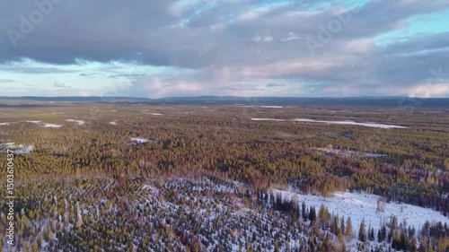 Aerial view of a frozen wetland.