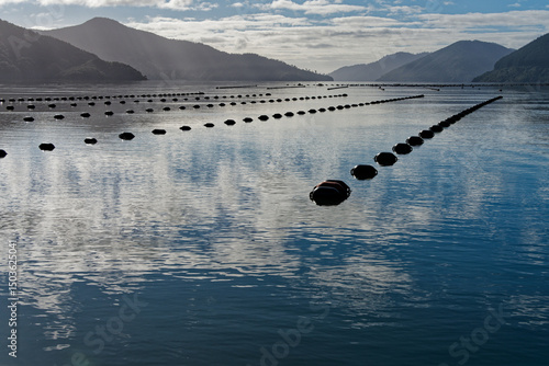 Canvas Print One of many Green-Lipped Mussel farms in the Marlborough Sounds, New Zealand