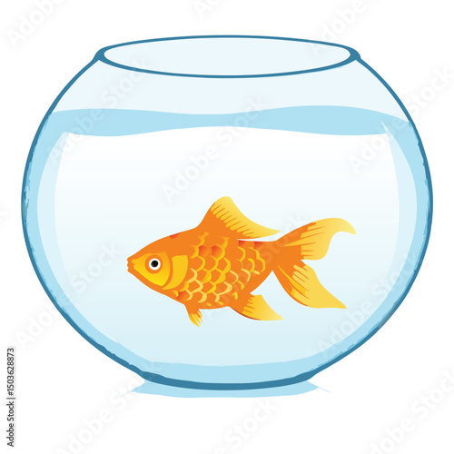goldfish in a glass vector