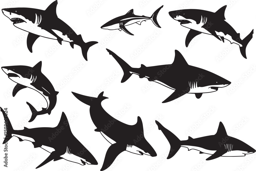 sharks vector illustration sharks vector illustration