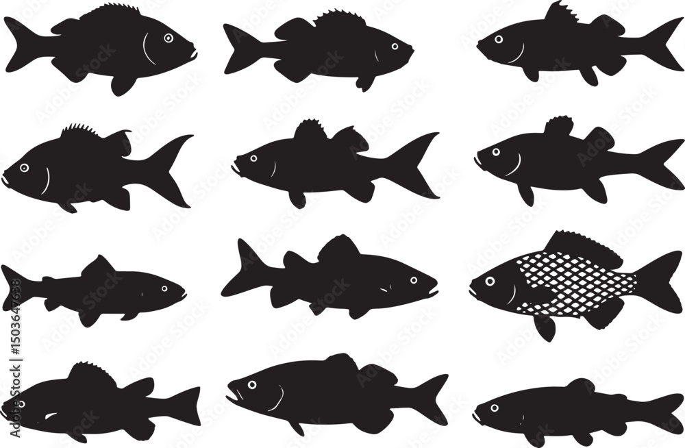 Fototapeta premium set of fishes