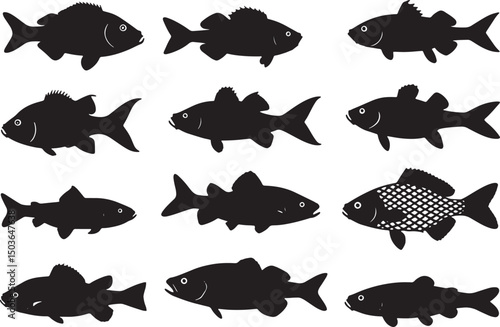 set of fishes