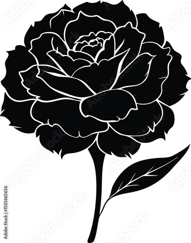 A detailed vector silhouette of a carnation design, Carnation icon vector illustration