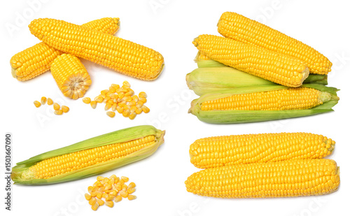 Set of fresh corn cob and grains isolated on white background