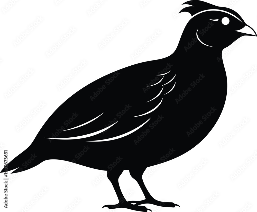 Fototapeta premium Bobwhite Quail vector Silhouette, Quail silhouette Vector illustration design.