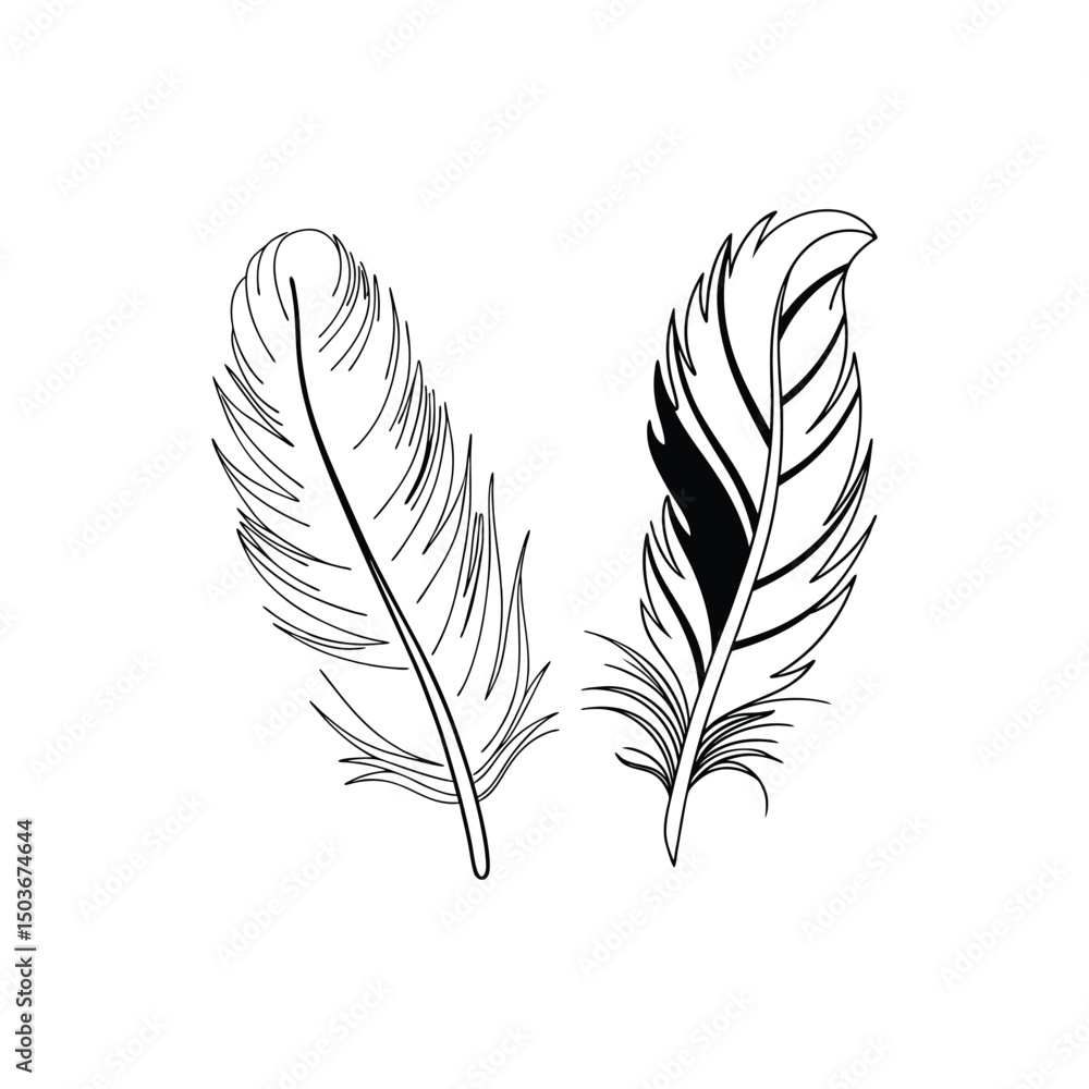 Obraz premium Feather Silhouette Illustration – Decorative Element for Design Projects.